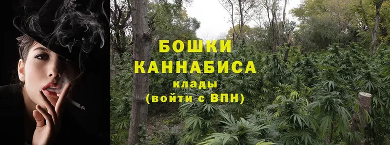 блэк спрут как войти  Гурьевск  Канабис White Widow 